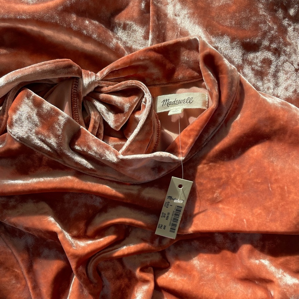 Madewell Velvet Dress